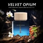 71xLM+03UqL._AC_SL1500_